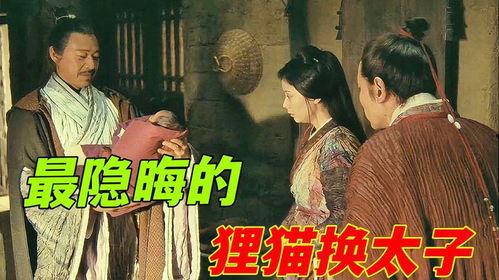 狸猫换太子视频,一场宫廷秘史的奇幻演绎
