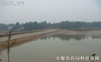 2017流水生态养鱼视频,2017年流水生态养鱼技术实践与成效展示